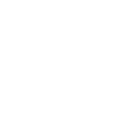 Raleigh AI Solutions